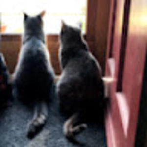 Meet your Posher, Yolanda